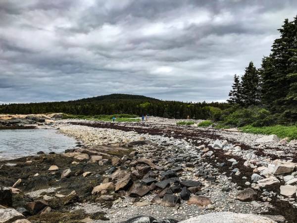 Acadia national park in Maine