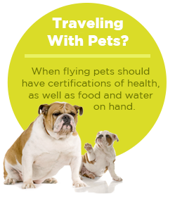 pullquote-traveling-with-dogs