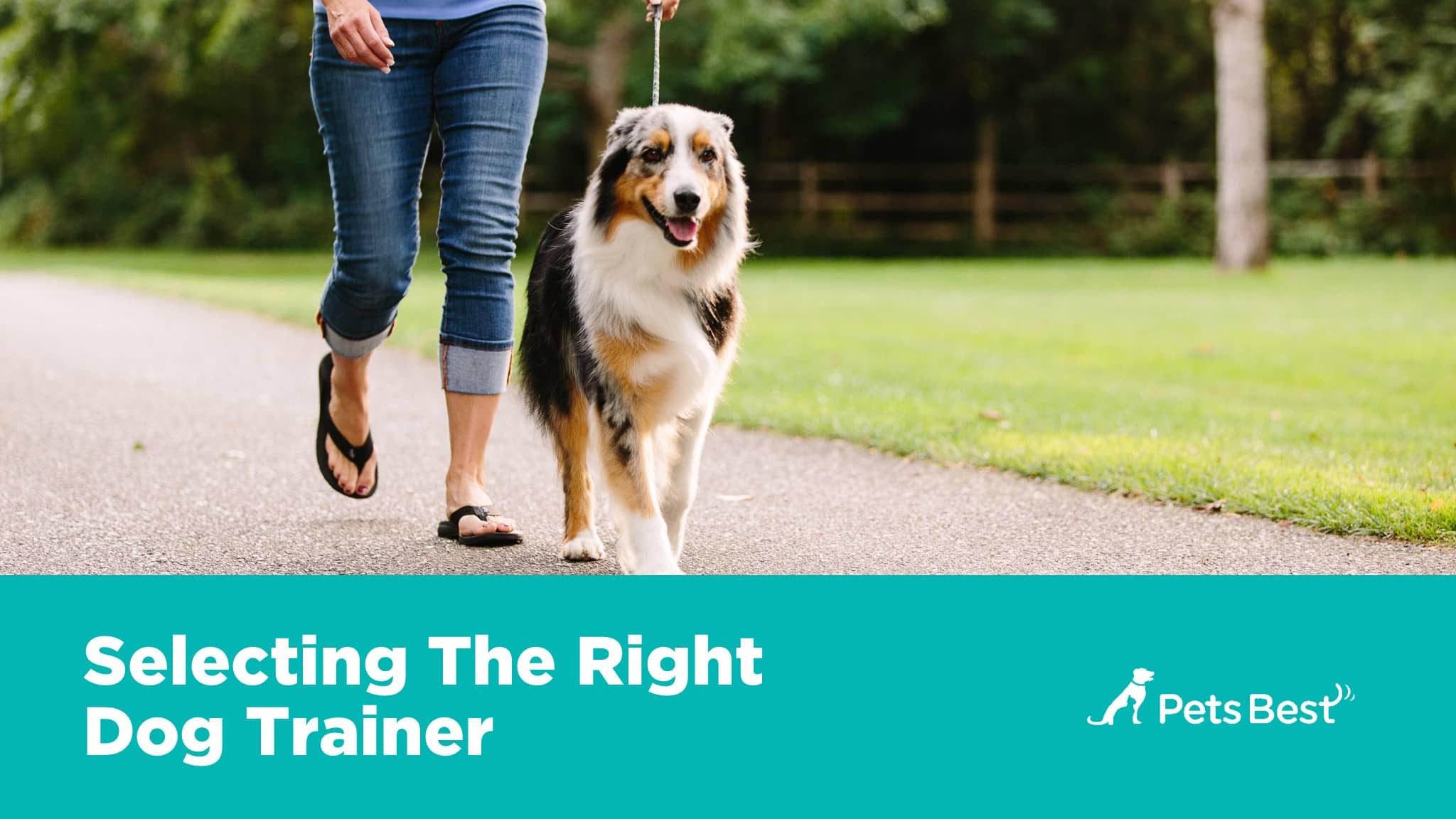 Selecting a Trainer