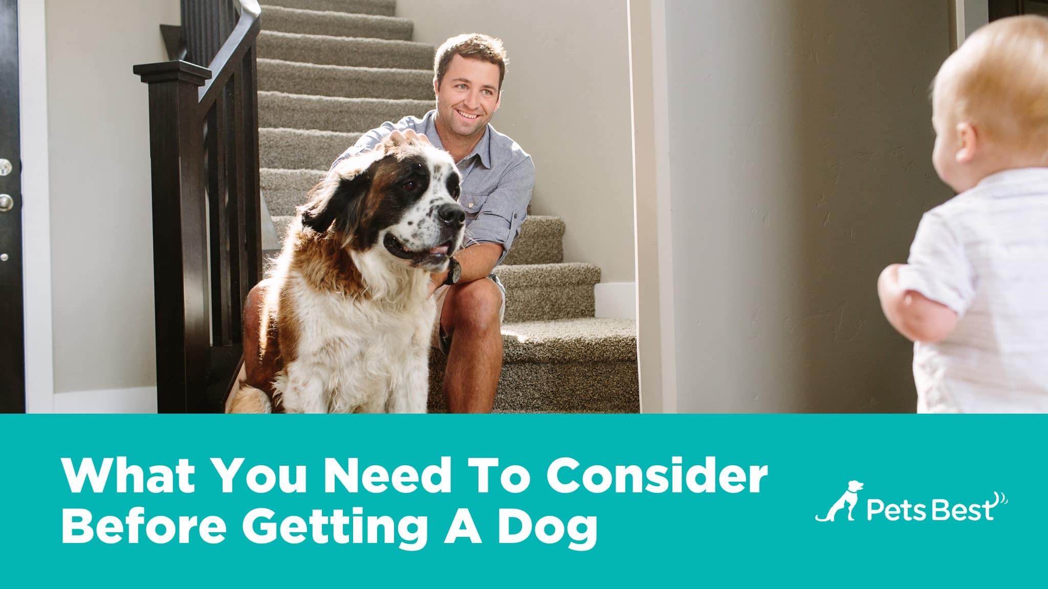 new-dog-owners-guide-3