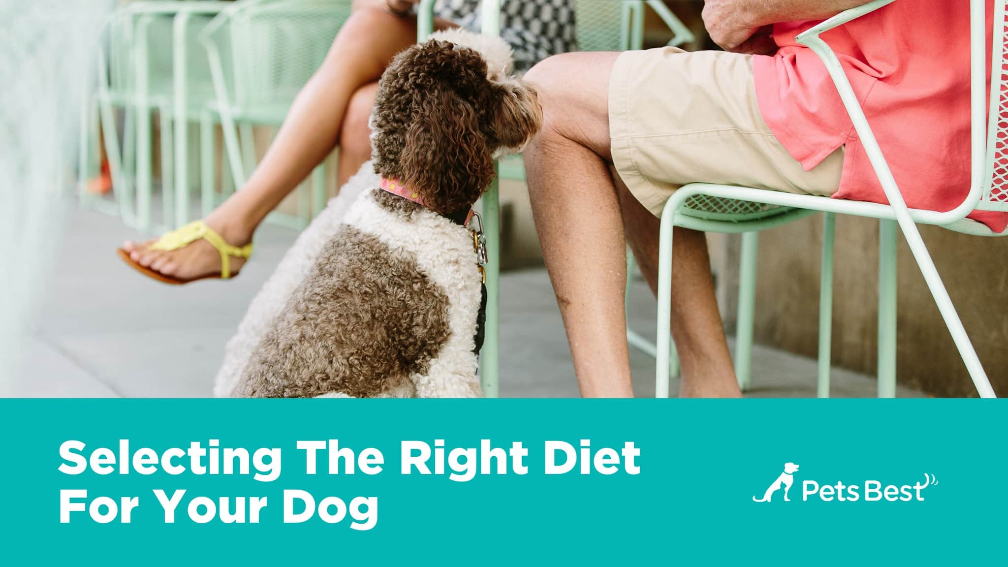 Selecting Diet