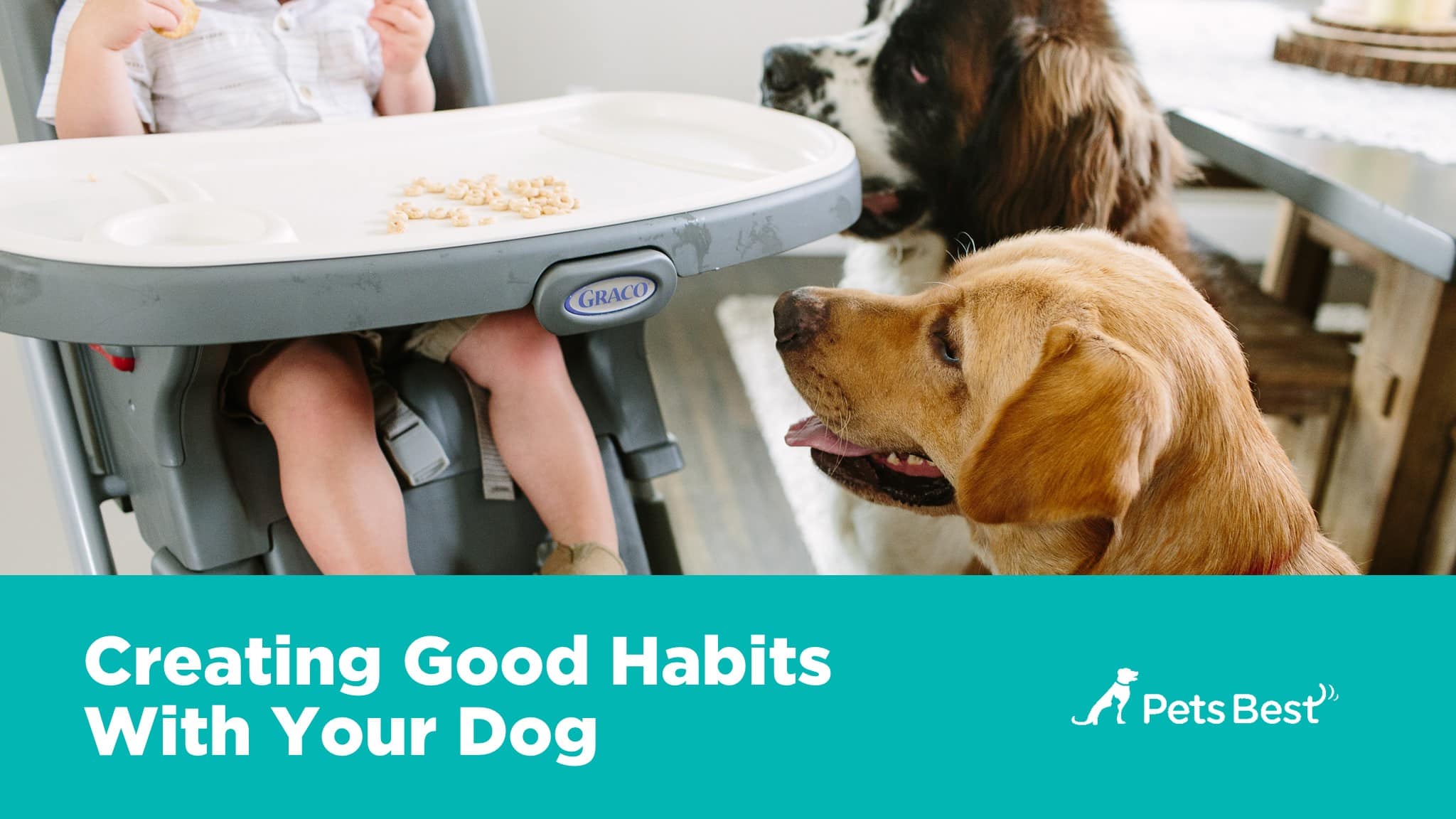 Good Habits